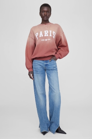 Anine Bing JaciUniversity Paris Sweatshirt Dam Washed Faded Terracotta | 980475CLZ