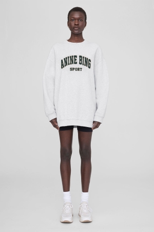 Anine Bing Tyler Sweatshirt Dam Grå | 673945BCW