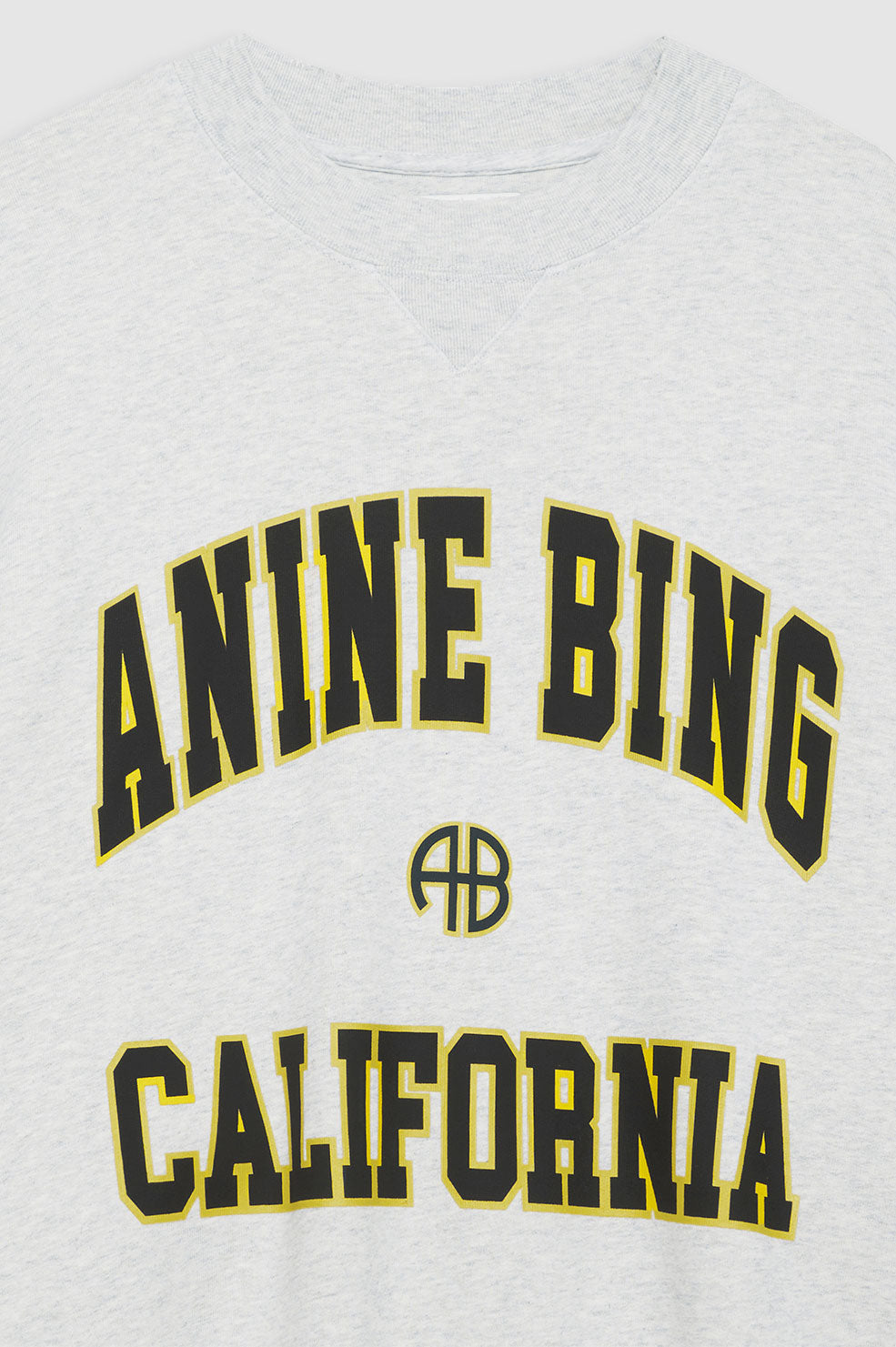 Anine Bing JaciAnine Bing California Sweatshirt Dam Grå | 675390MOW