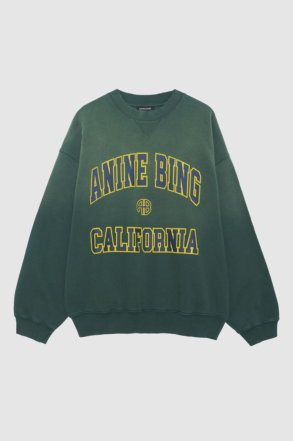 Anine Bing JaciUniversity New York Sweatshirt Dam Washed Faded Seafoam | 695142MFG