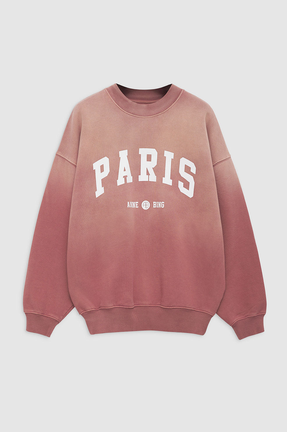 Anine Bing JaciUniversity Paris Sweatshirt Dam Washed Faded Terracotta | 980475CLZ