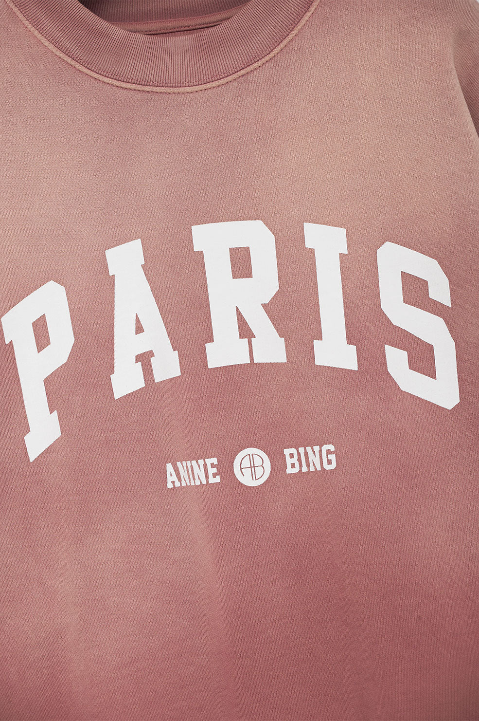 Anine Bing JaciUniversity Paris Sweatshirt Dam Washed Faded Terracotta | 980475CLZ