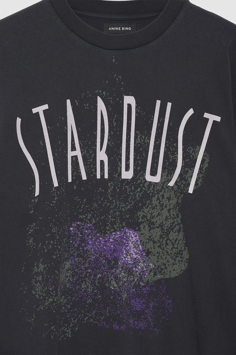 Anine Bing Joel Stardust Sweatshirt Dam Svarta | 501423TGI